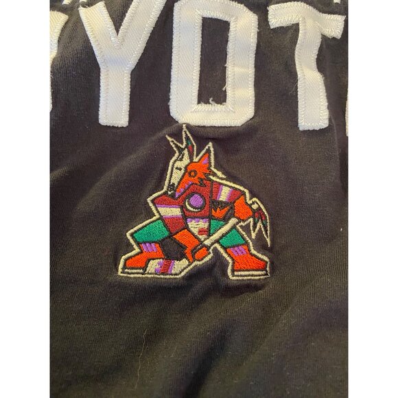 Champion Arizona Coyotes Black T-Shirt Short Sleeve Embroidered Logo XL - Picture 3 of 10